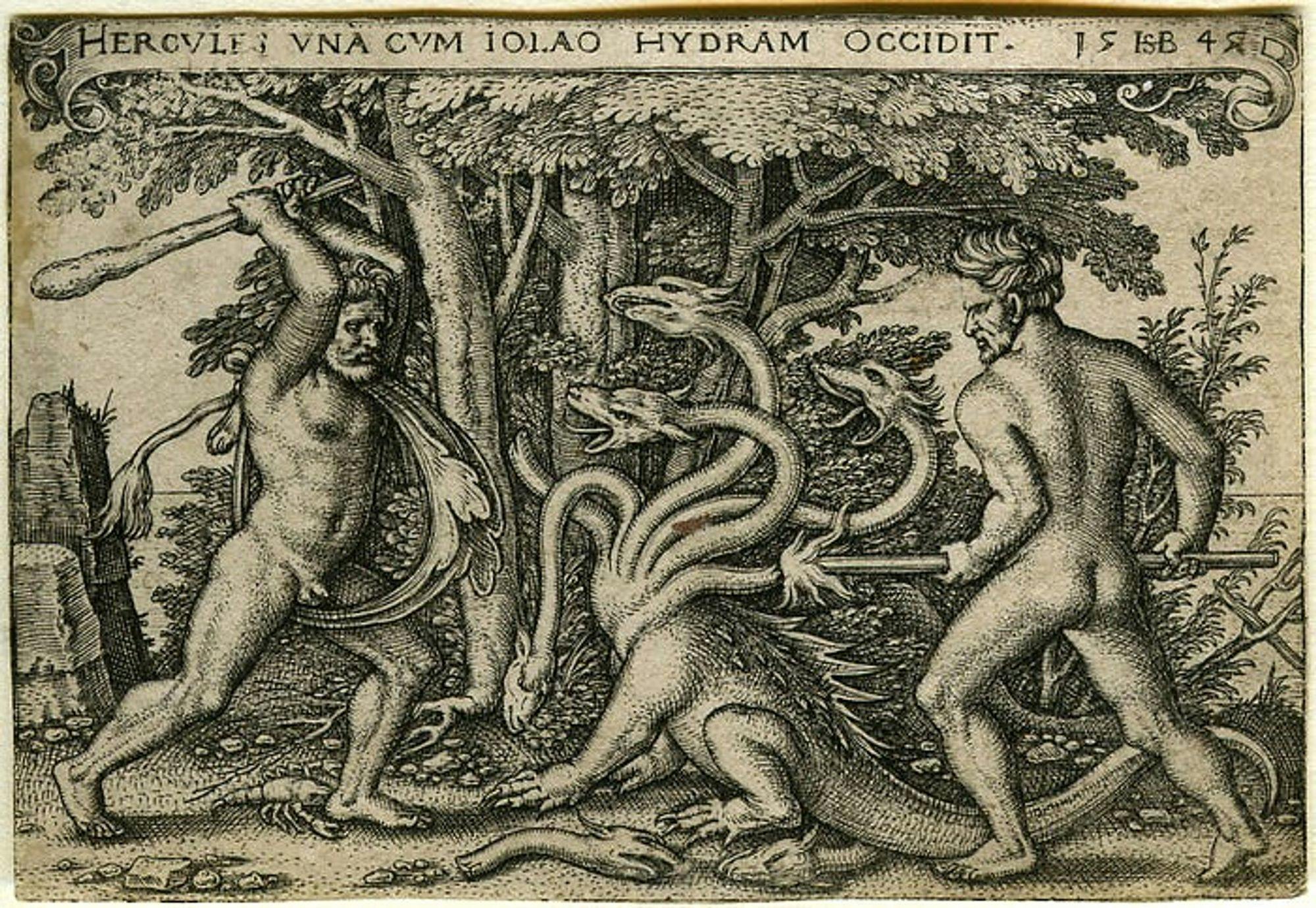How to Be Antifragile: Live Like a Hydra